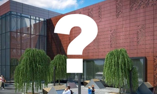 Градска библиотека у Вршцу више од деценију чека реконструкцију